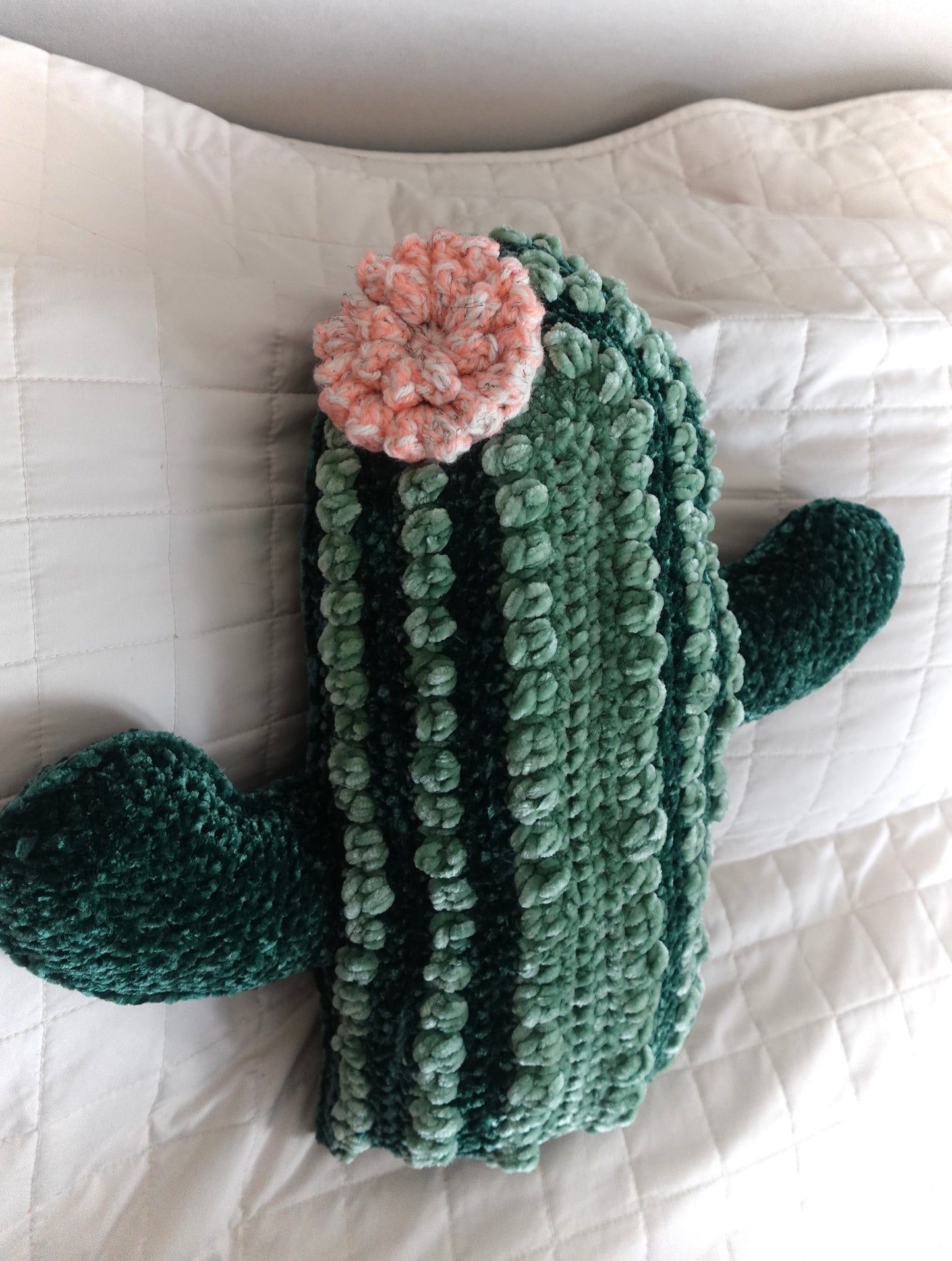 Crochet Cactus Pillow