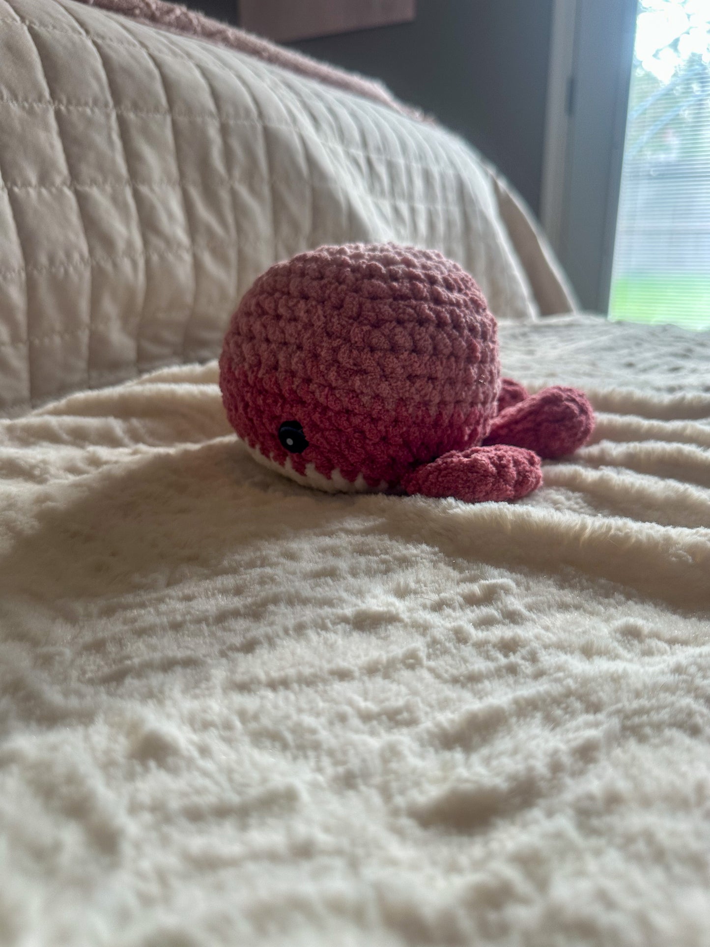 Pink Ombre Whale