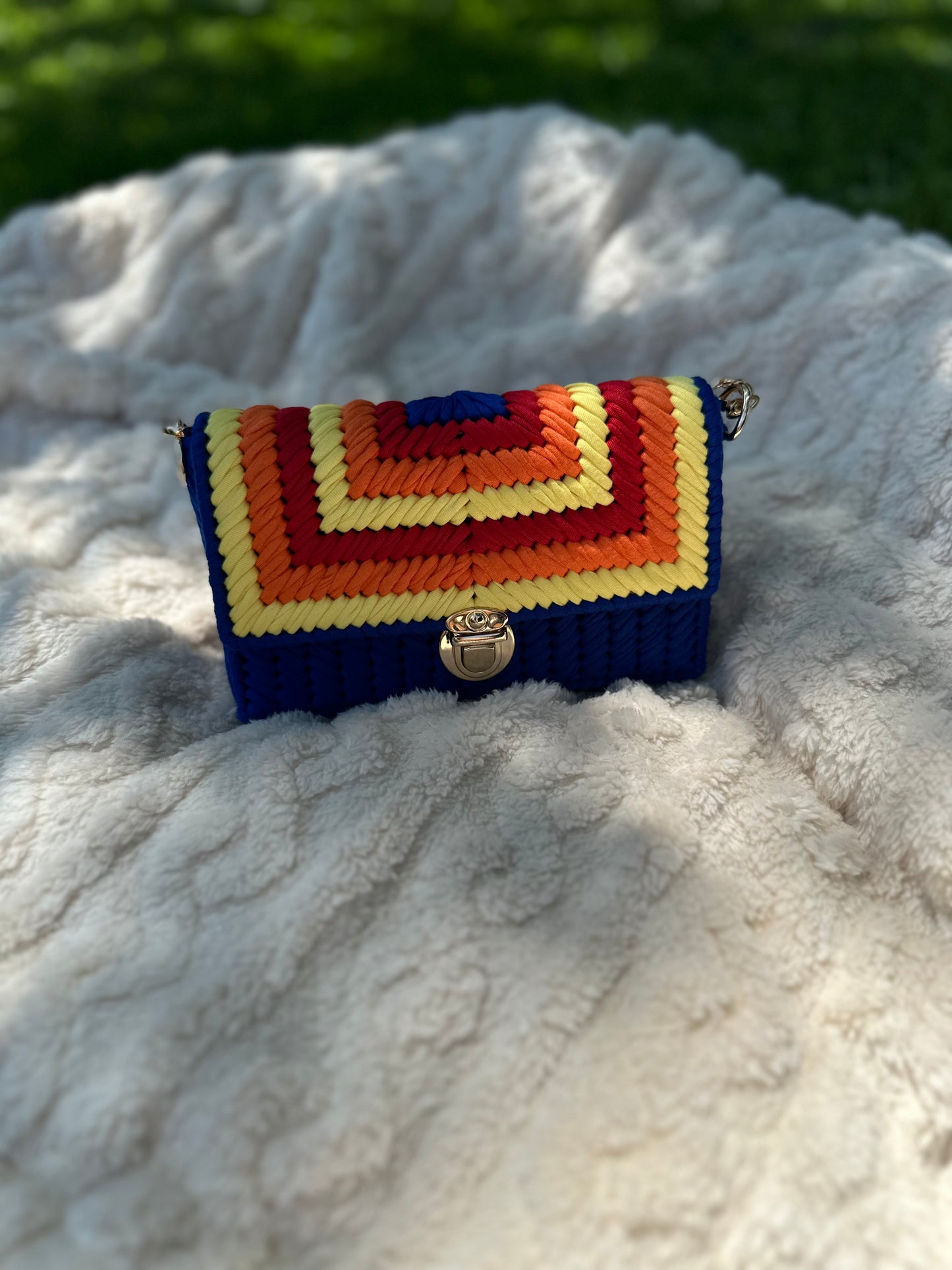 Custom Astros Purse