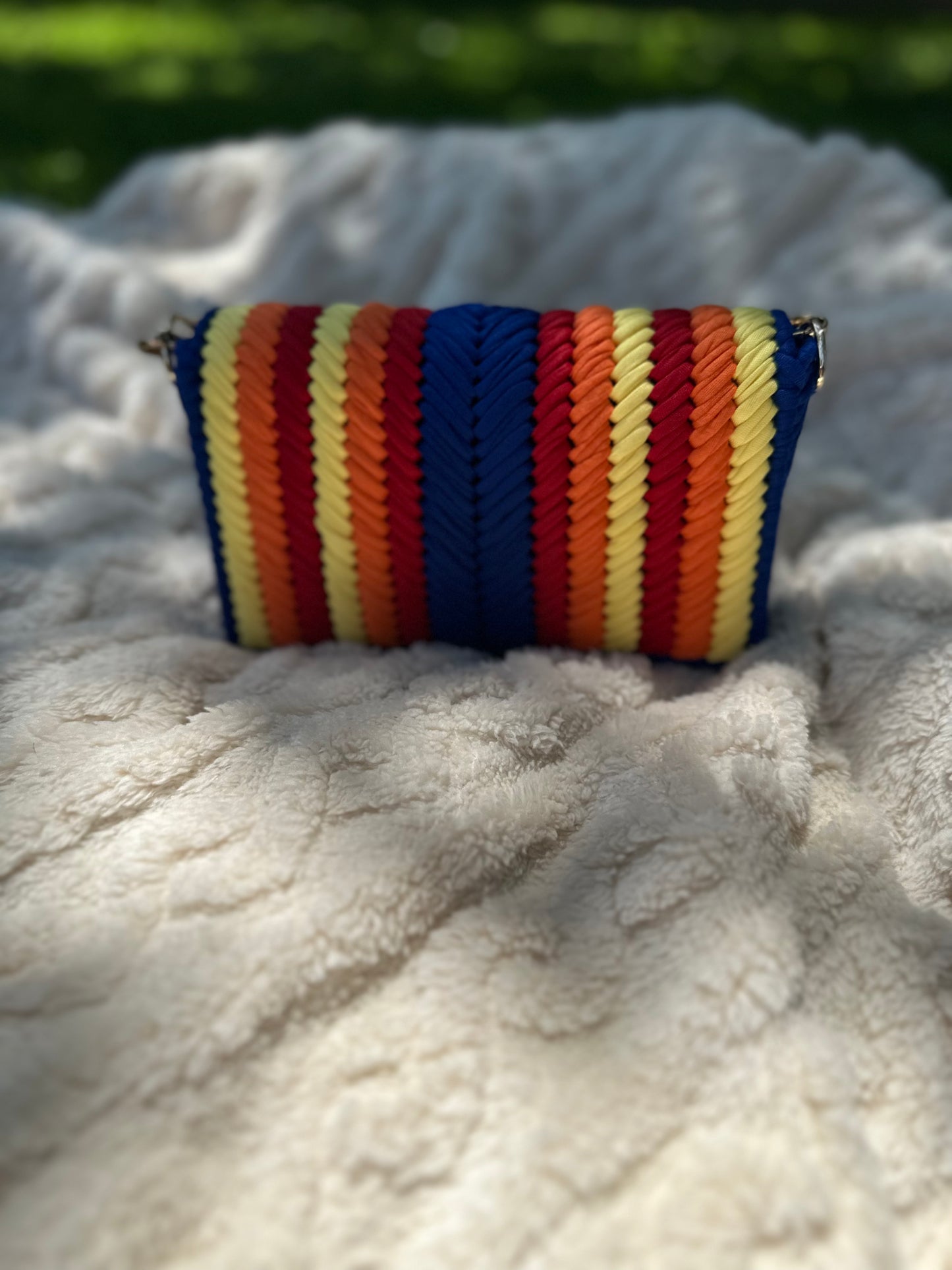 Custom Astros Purse