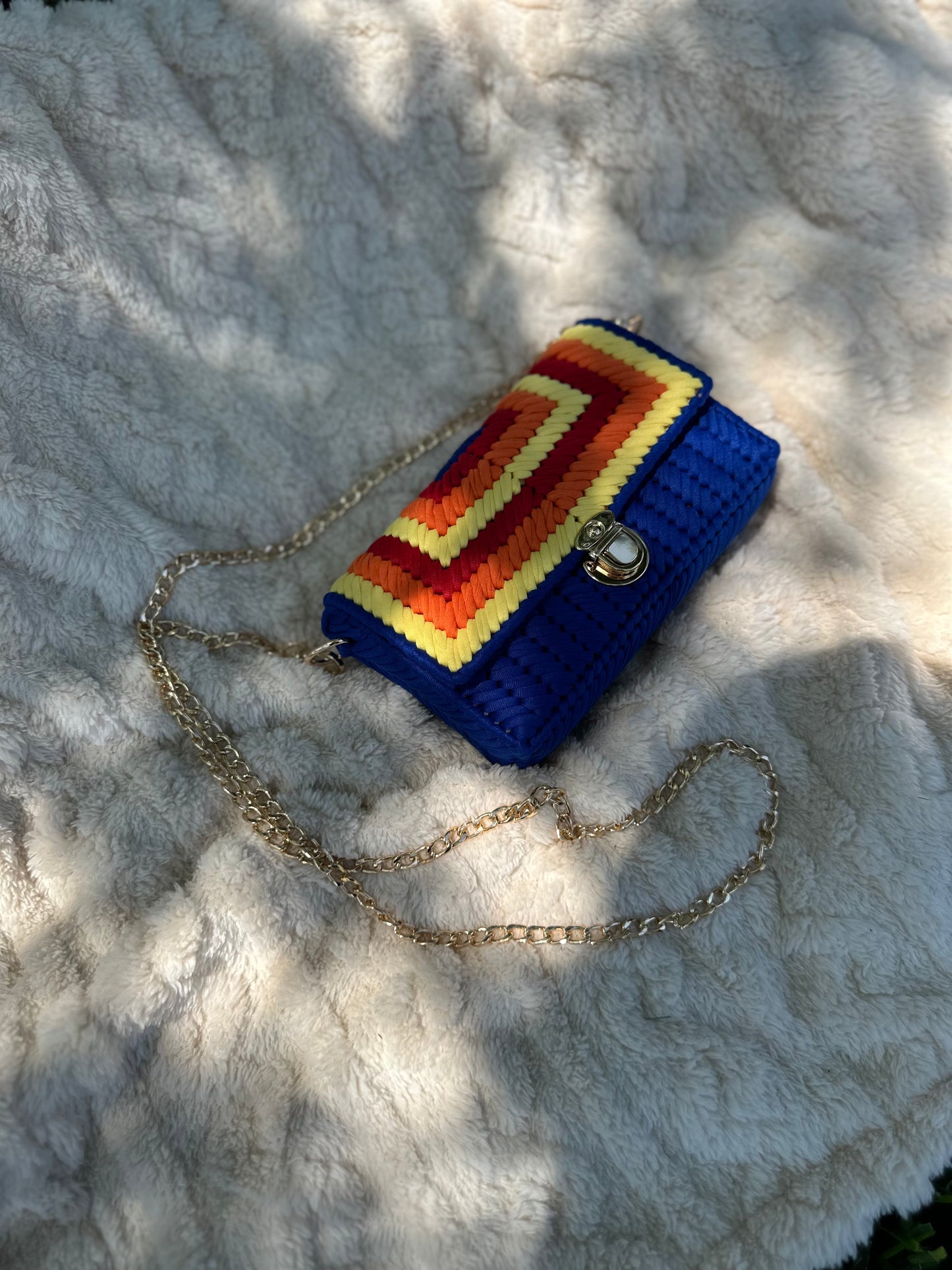 Custom Astros Purse